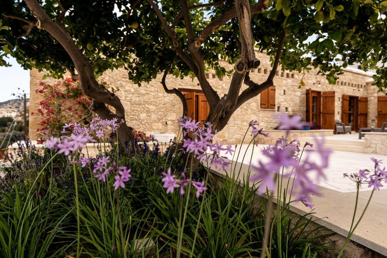 Harma Traditional Boutique Suites Paphos Eksteriør billede